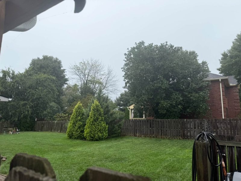 Fence Repair in Salem