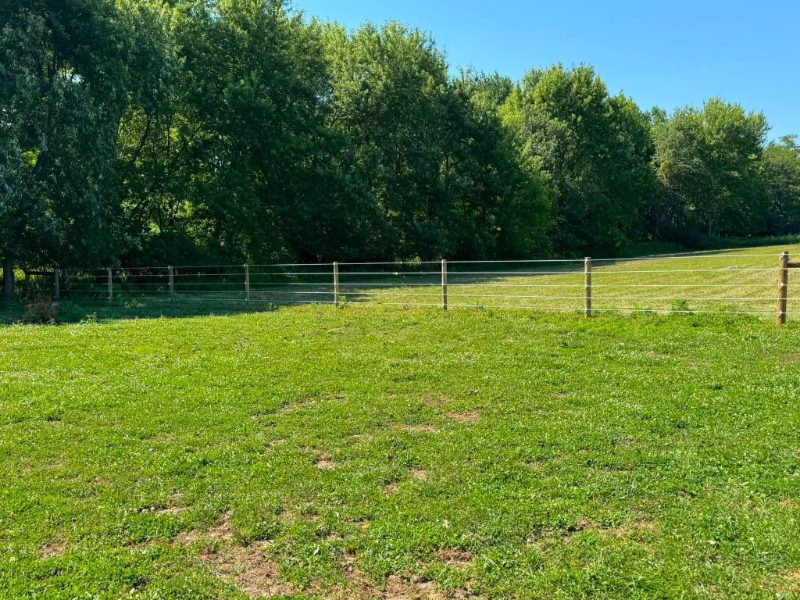 Horse Fencing in Salem